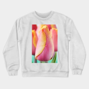 Tulipa  &#39;Indian Summer&#39;  Triumph Group  Tulip Crewneck Sweatshirt